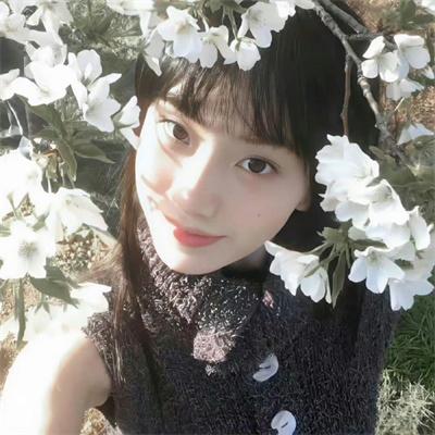 惑星公主蜥蜴骑士