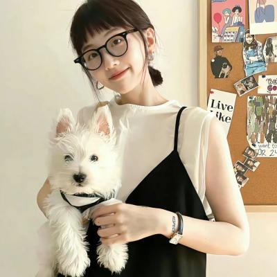 好汉两个半第八季